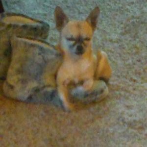 Meet your Posher, Tabitha